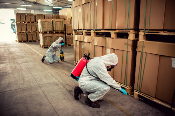 Best Emergency Pest Control  in Maiden, NC