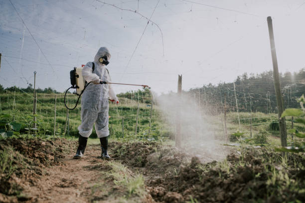 Best Pest Control for Businesses  in Maiden, NC