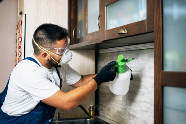Best Residential Pest Control  in Maiden, NC