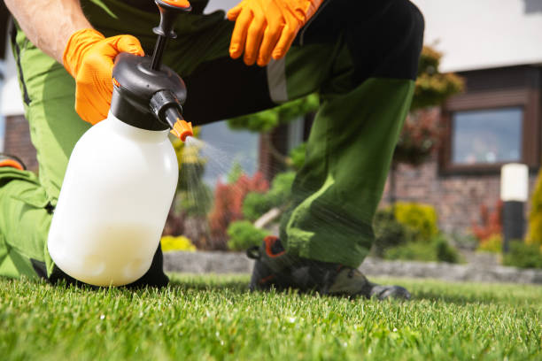 Best Local Pest Control Services  in Maiden, NC