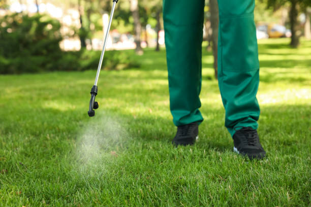 Reliable Maiden, NC Pest Control Solutions