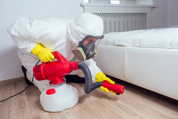 Best Local Pest Control Services  in Maiden, NC