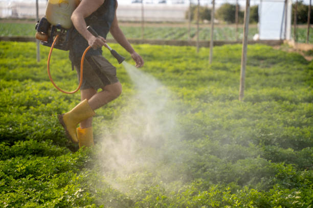 Best Commercial Pest Control Services  in Maiden, NC
