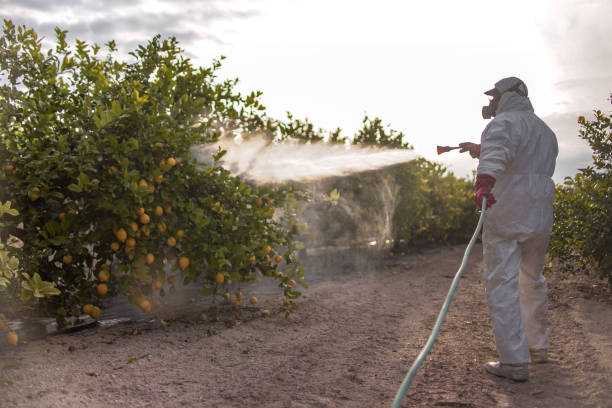 Best Wildlife Control Services  in Maiden, NC