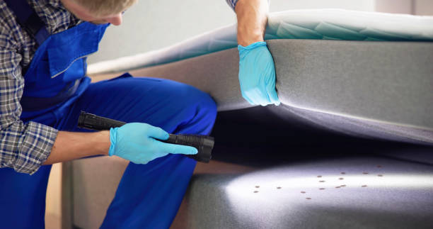 Best Pest Control for Homes  in Maiden, NC