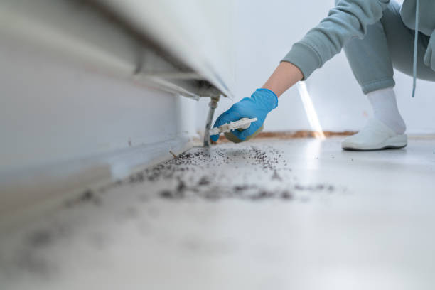 Best Commercial Pest Control Services  in Maiden, NC