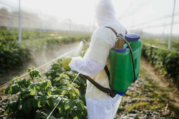 Best Cockroach Control Services  in Maiden, NC